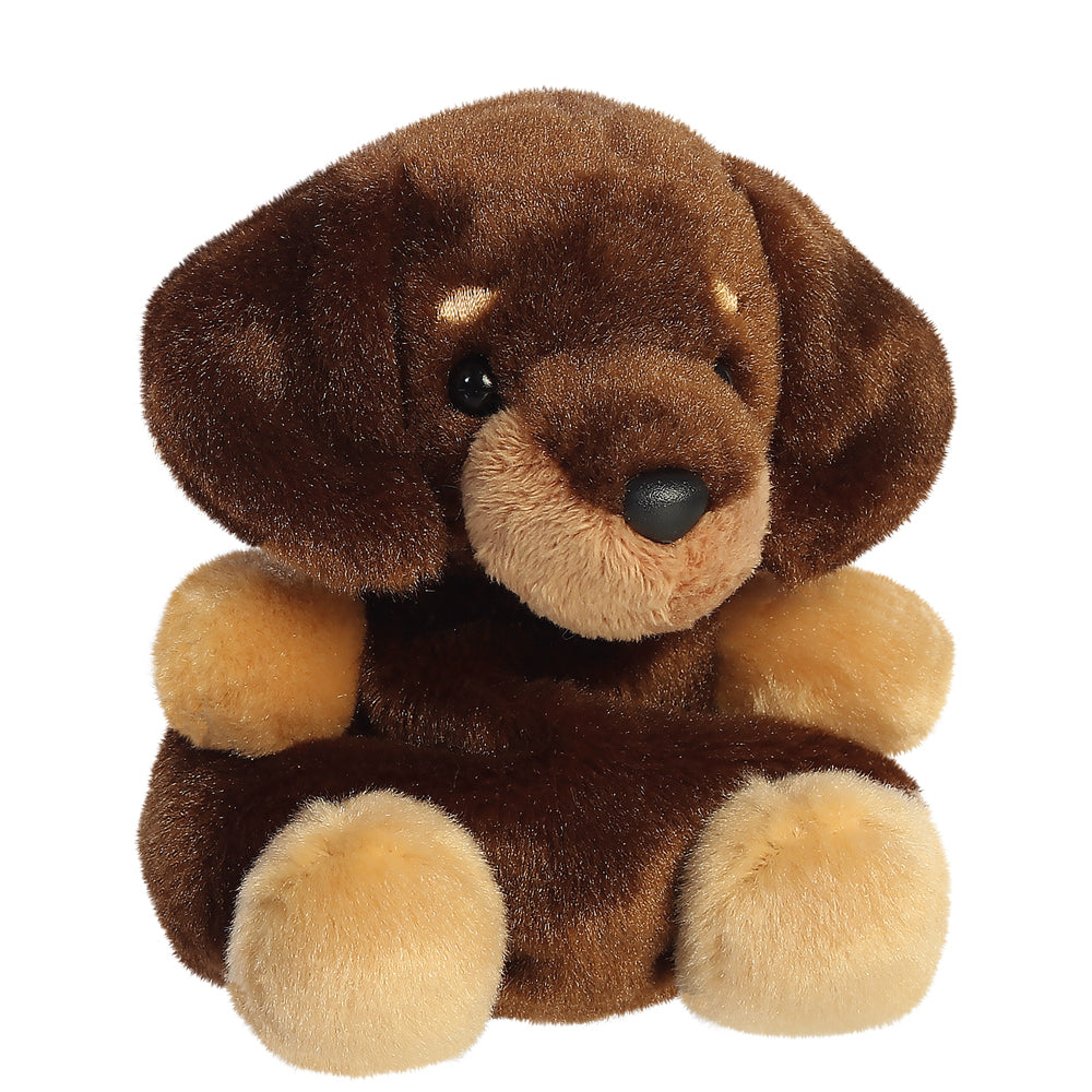 Houdini Dachshund - Palm Pals