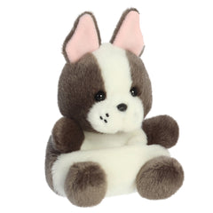 Beau French Bulldog - 13cm - Palm Pals - Perfect for gifting or collecting
