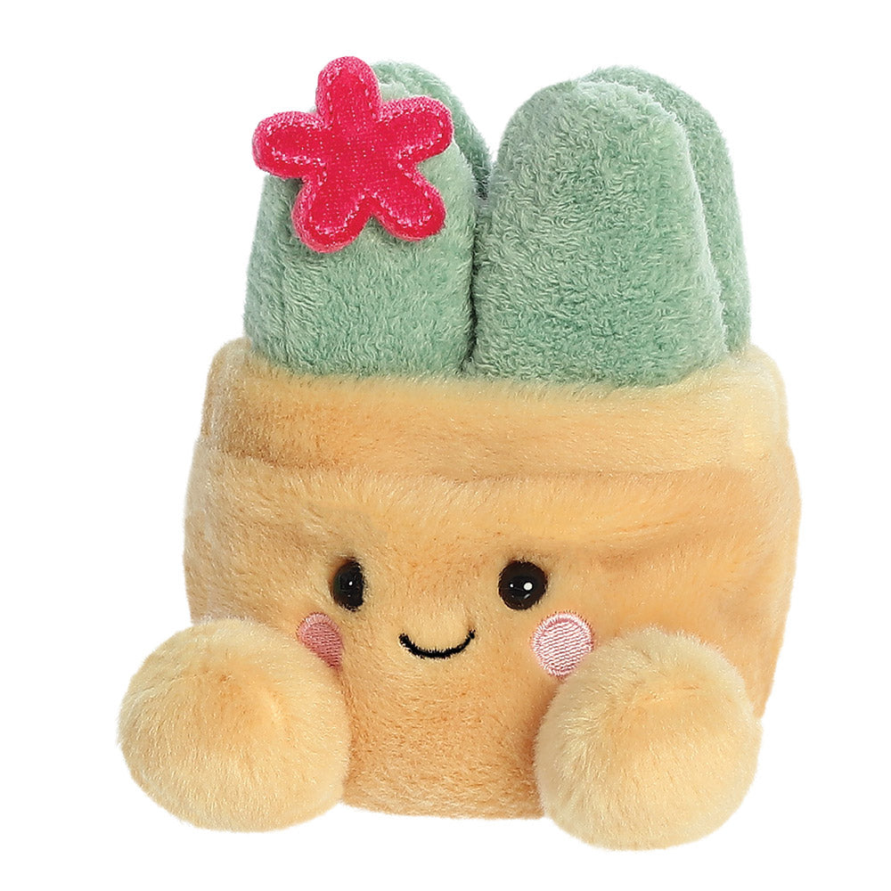 Seyla Succulent™ - Palm Pals